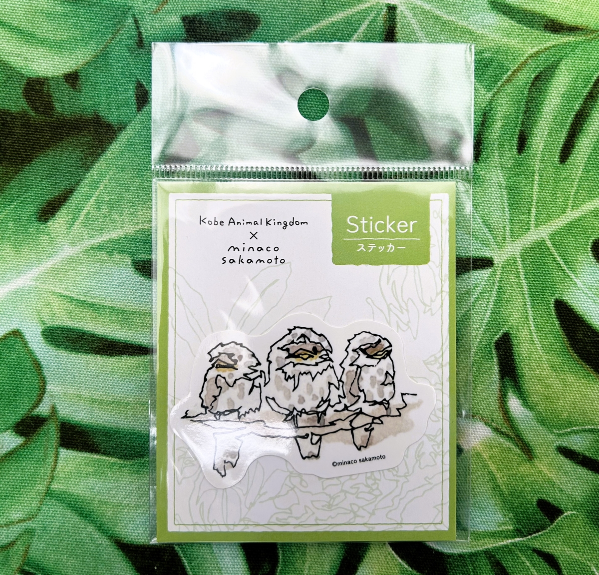 ダイカットステッカー ガマグチヨタカ3羽 ≪神戸どうぶつ王国 × minaco